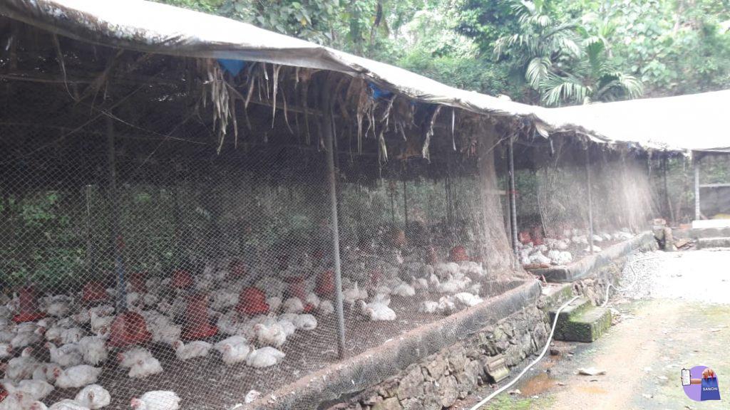 1 Acre Plot, House & Farm - Koothatukulam