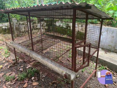 Used cage for sale