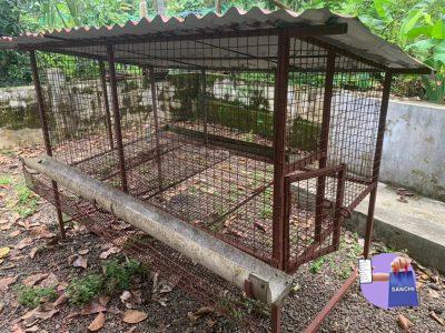 Well maintained Cage