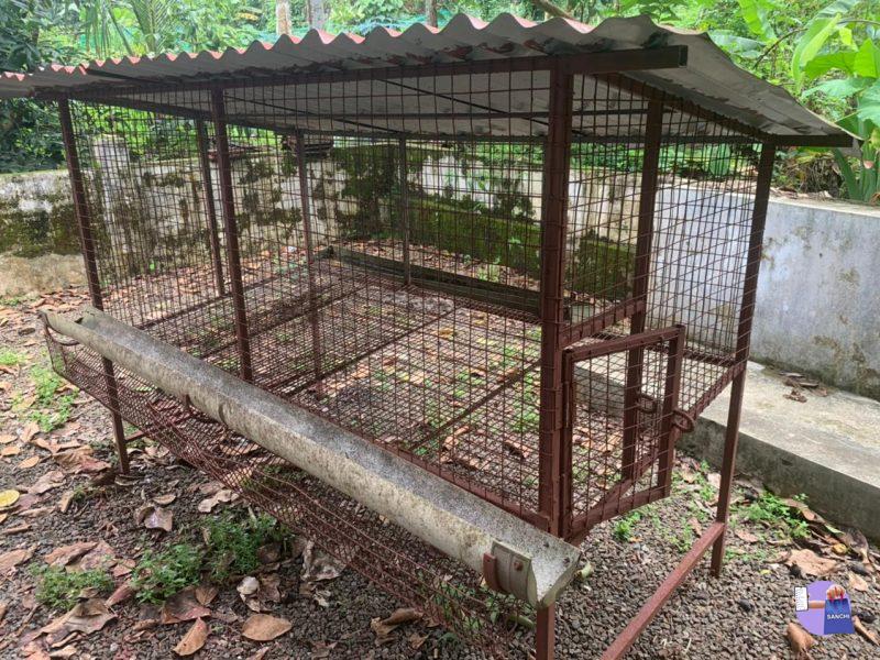 Well maintained Cage