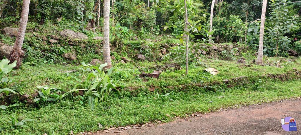 കുറിഞ്ഞി പള്ളിയുടെ അടുത്ത് 50 സെന്റ് House Plot