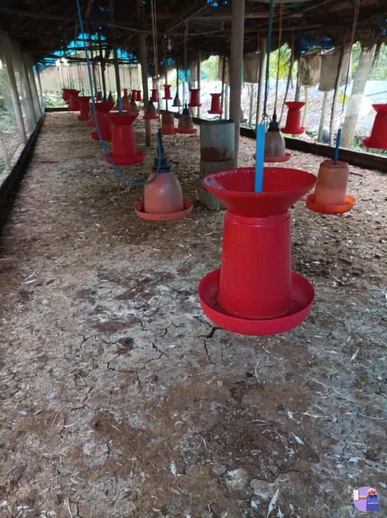 കോഴി ഫാം ഉപകരണങ്ങൾ വില്പനയ്ക്ക്.