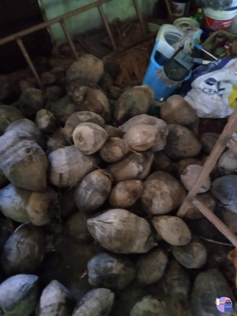 ഒണക്ക തേങ്ങ