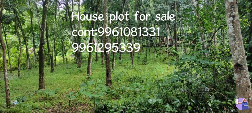 റബ്ബർ തോട്ടം വിൽപ്പനക്ക്