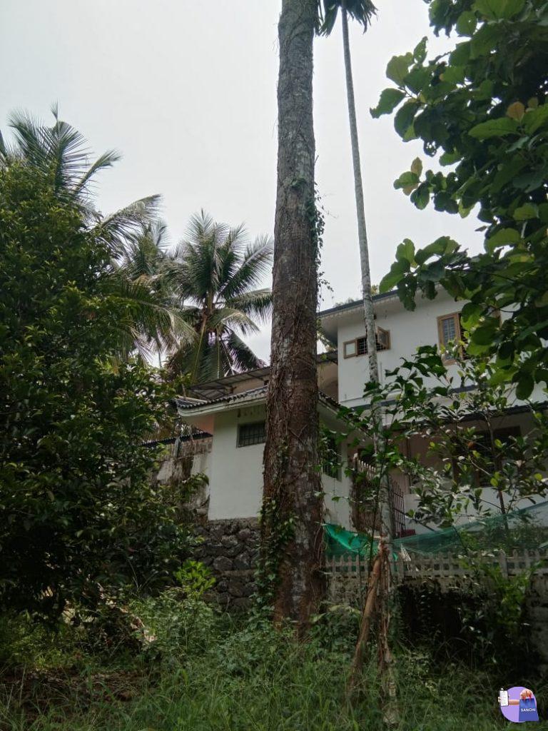 ആഞ്ഞിലിത്തടി