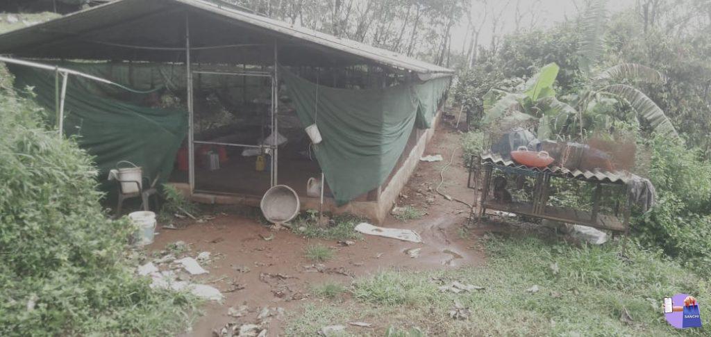 3.70 ഏക്കർ സ്ഥലവുംഒരു വീടും,ഒരു പശു ഫാം,2 കോഴിഫാം