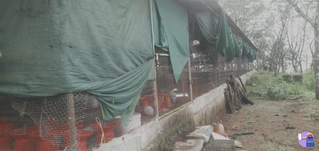 3.70 ഏക്കർ സ്ഥലവുംഒരു വീടും,ഒരു പശു ഫാം,2 കോഴിഫാം