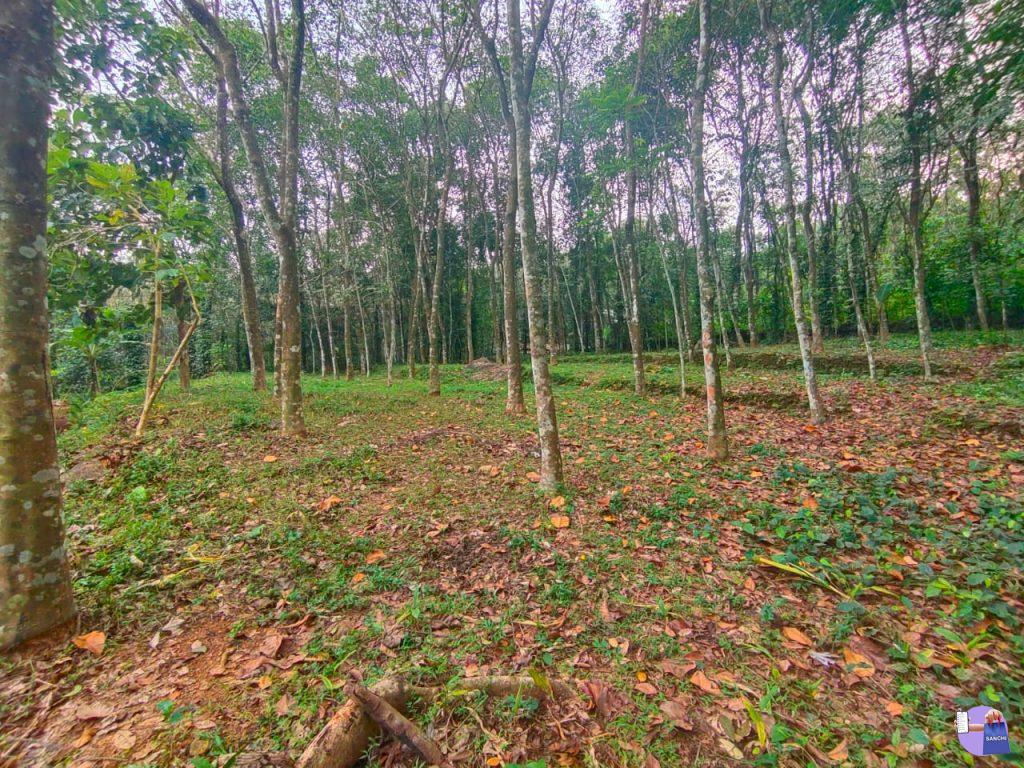 മെയിൻ റോഡിൽ നിന്നും 100 മീറ്റർ മാറി വഴിയോടുകൂടി 30 cent.