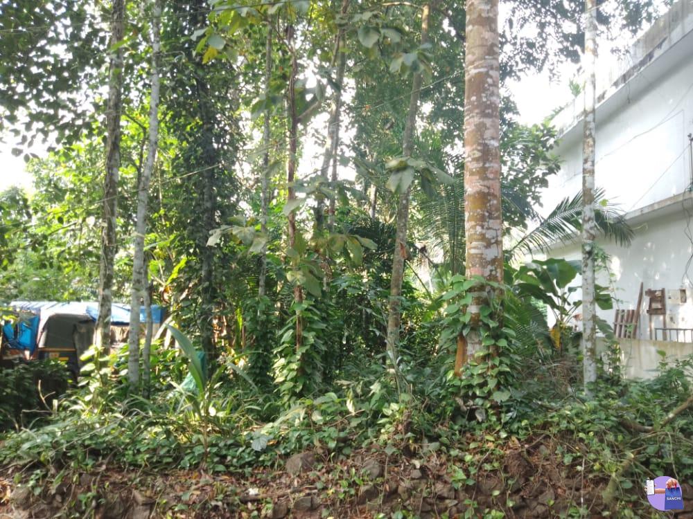 4 സെൻ്റ് സ്ഥലം വില്പനക്ക്