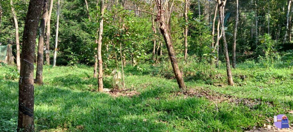 35 സെന്റ് എല്ലാ സൗകര്യങ്ങളോടും കൂടിയ ഹൌസ് പ്ലോട്ട് വില്പനക്ക്.