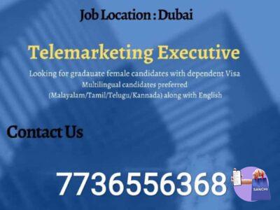 Telemarketing Executive