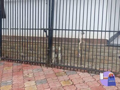 Gate for sale