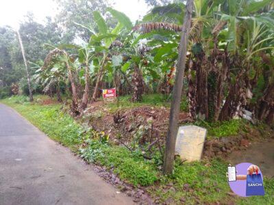 Plot for sale