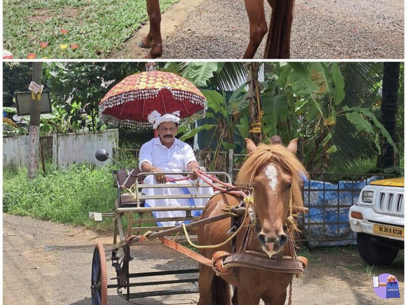 Horse