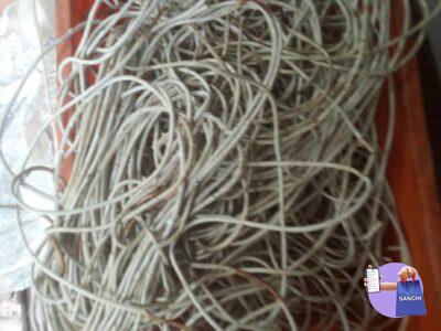 Cable