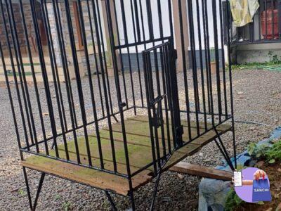 Dog cage