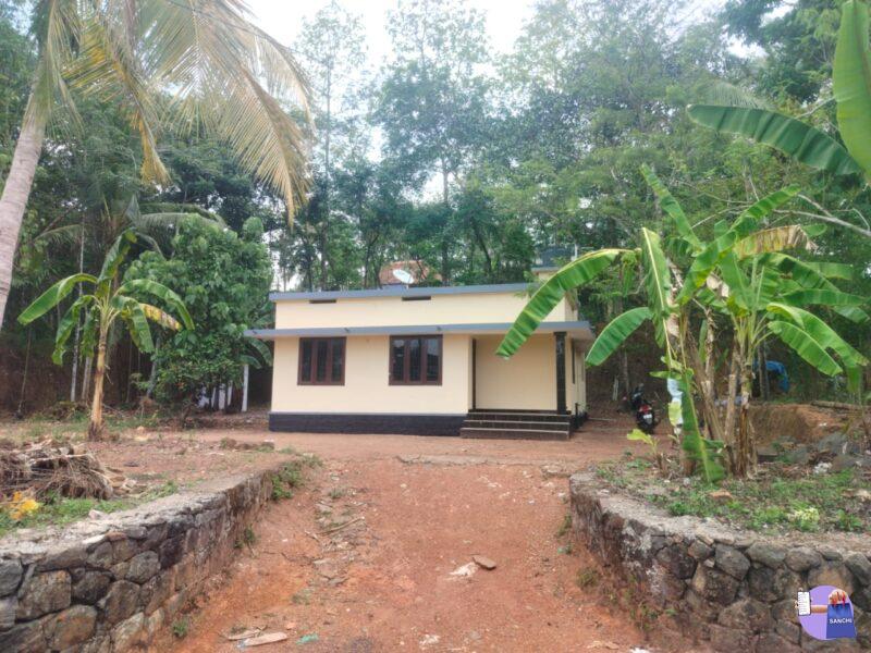 20 Cent house plot