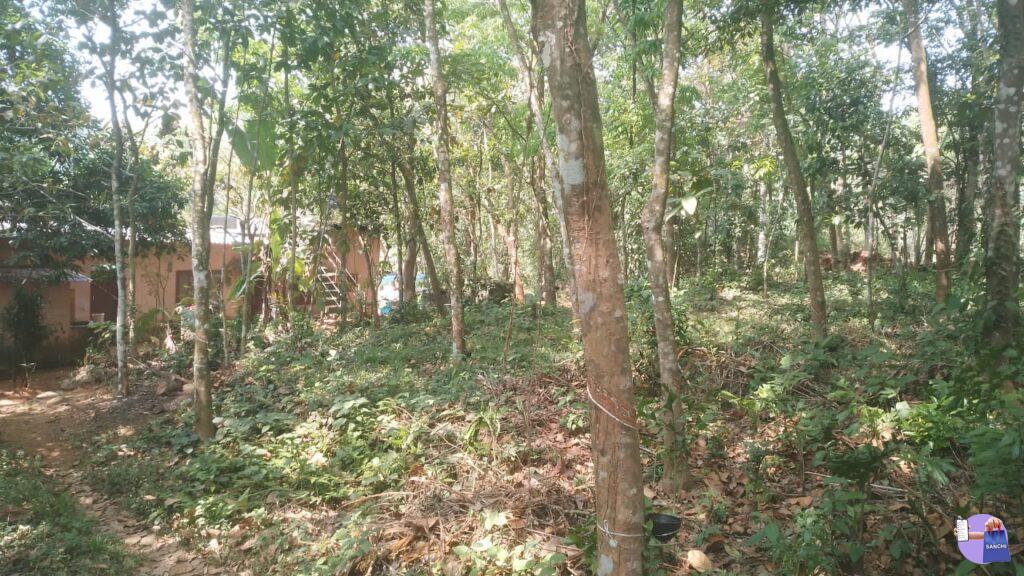 50 CENT LAND WITH HOUSE