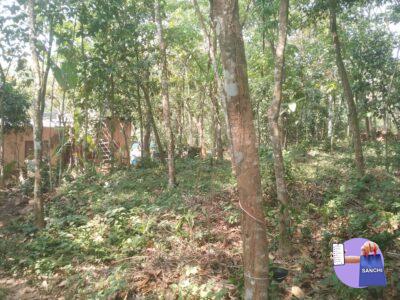 50 CENT LAND WITH HOUSE