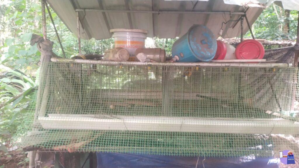 Cage