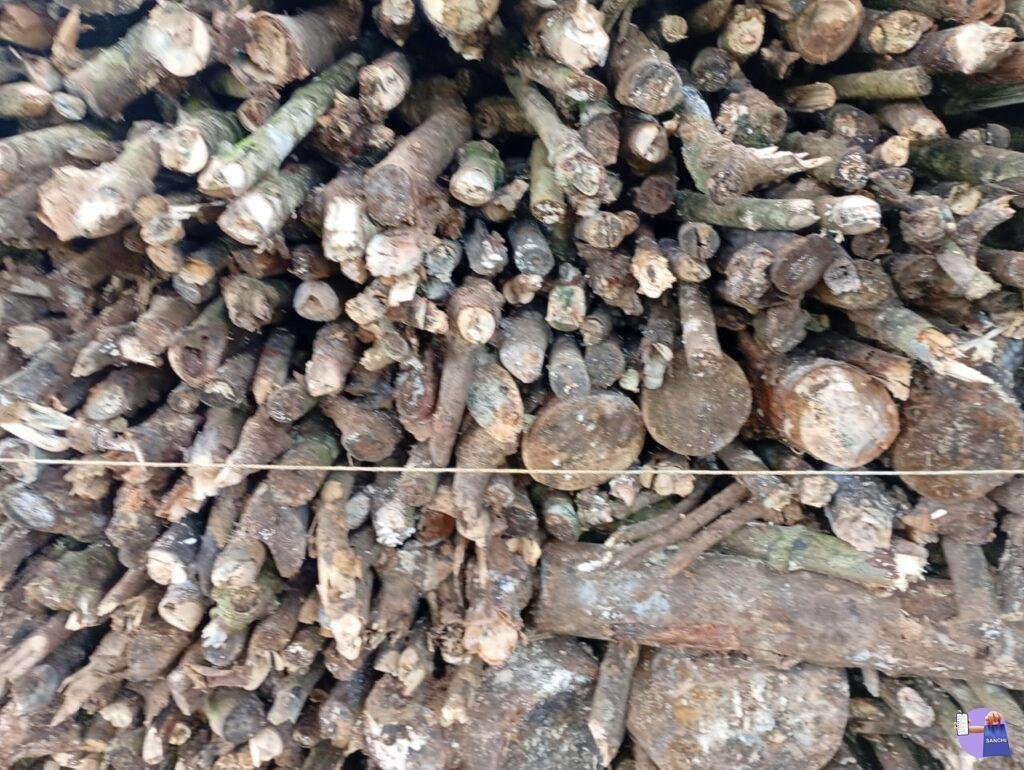 Firewood