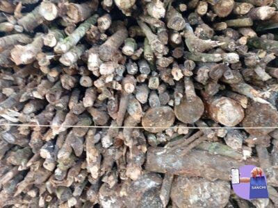 Firewood