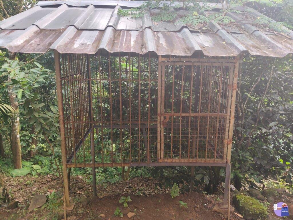 Dog Cage