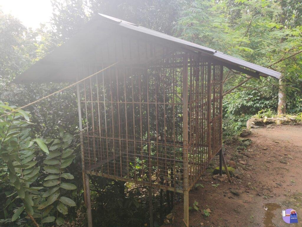 Dog Cage