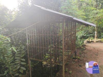 Dog Cage