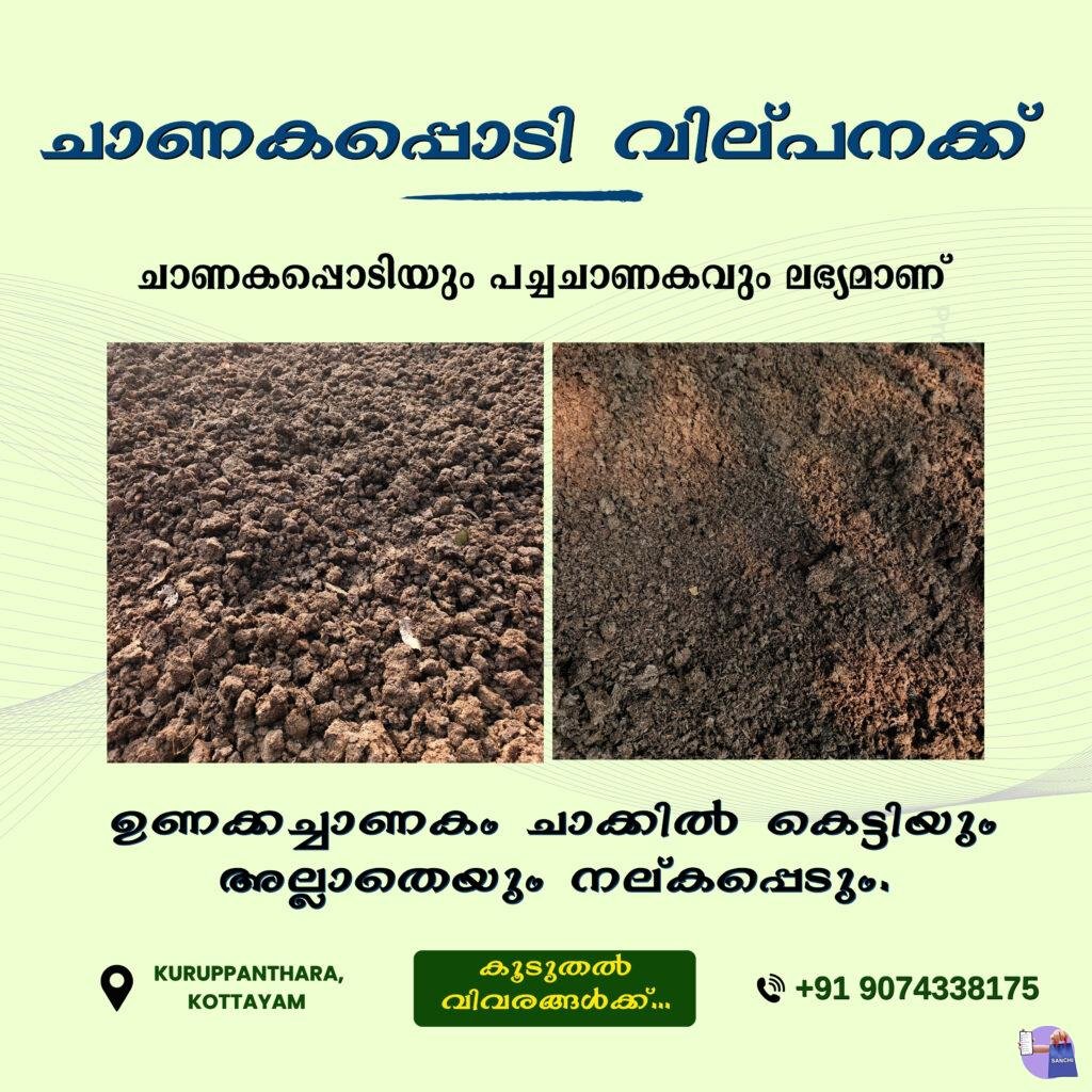 Dung