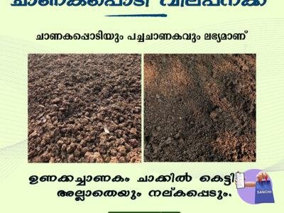 Dung