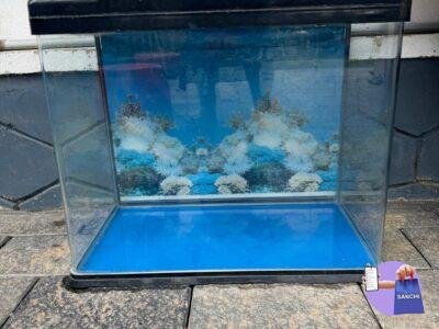 Aquarium