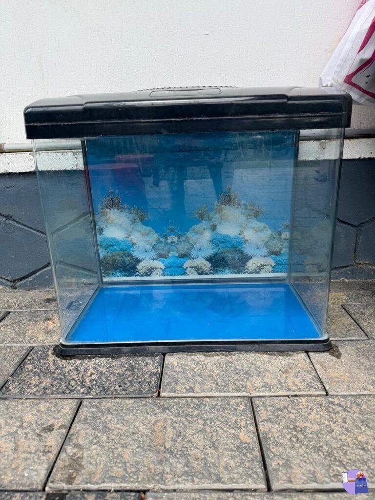 Aquarium