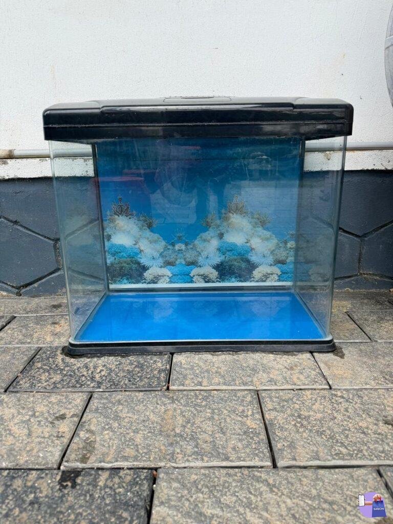 Aquarium