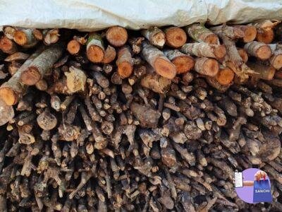 Firewood