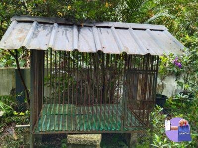 Dog kennel