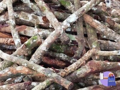 Firewood